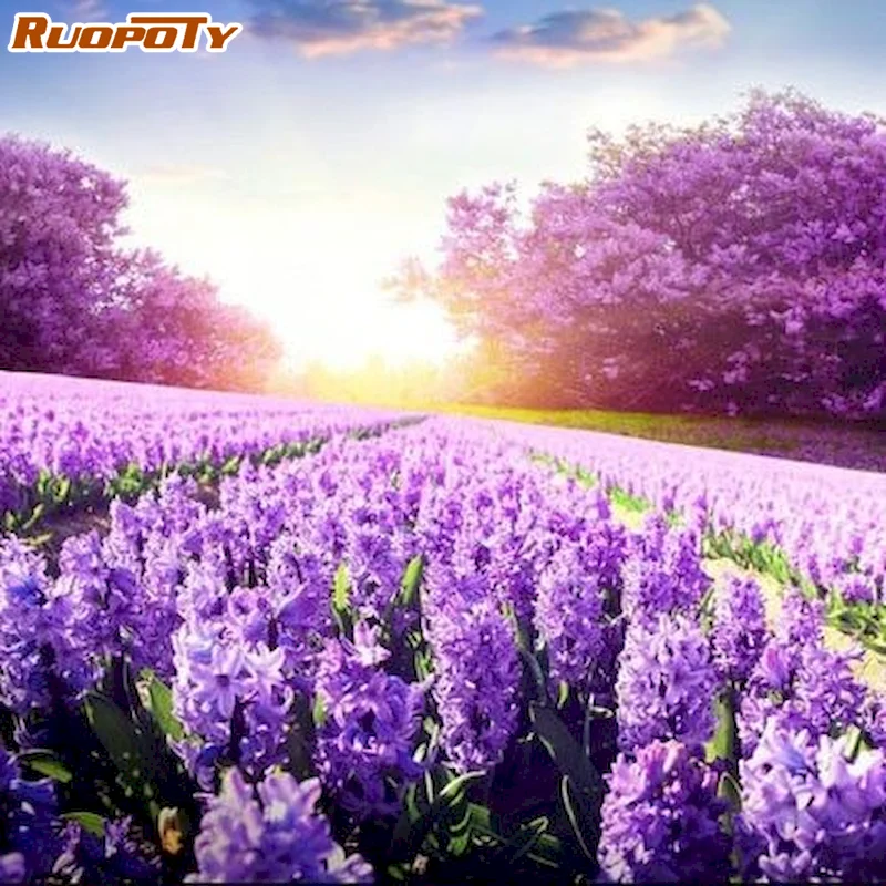 

Frame DIY Painting By Number Lavender Field Scenery Picture By Numbers Acrylic Paints Wall Art Picture For Home Decors