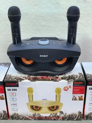 Eagle Eye Design SD 306 Bluetooth Karaoke Speaker with Two Wireless Microphone Stereo Subwoofer 3D surround sound | Электроника