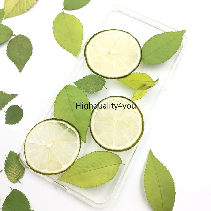 Высушенные прессованные зеленые лимонные ломтики 3 5 см фоторамка для ювелирных