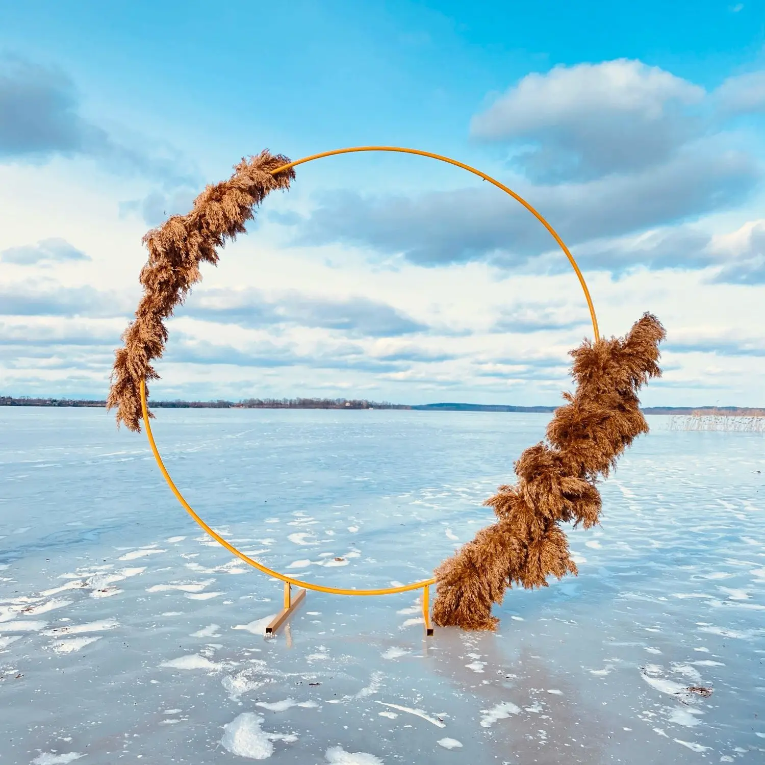 

Стенд Арка из кованого железа для свадьбы, свадьбы, дня рождения, украшение «сделай сам», сценический круг, арка, уличная фоновая рамка