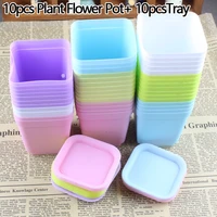 0set plastic with tray colorful flower pots nursery planter garden supplies plant pot plastic flower pots plants