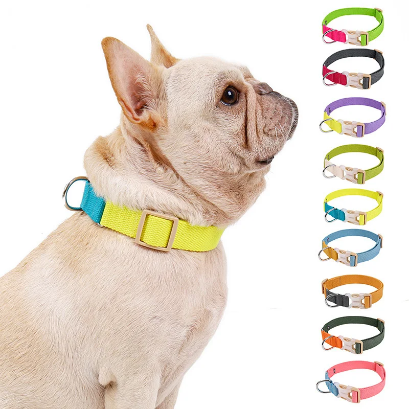 

Nylon Webbing Dog Collar Heavy Duty Clip Buckle Pet Collar