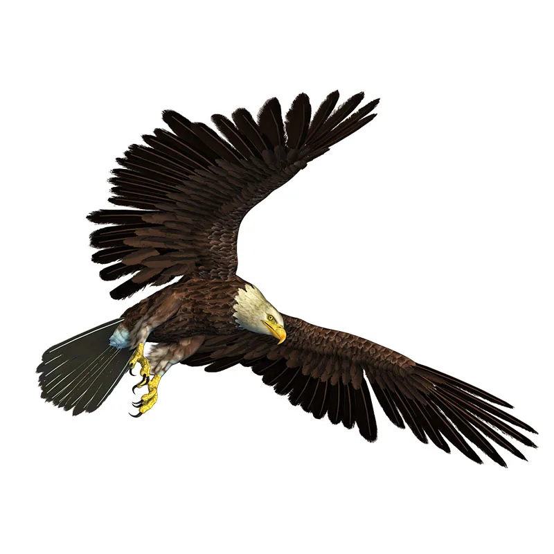 Наклейки Three Ratels QC499 eagles cleaved the sky для мальчиков аксессуары украшения дома