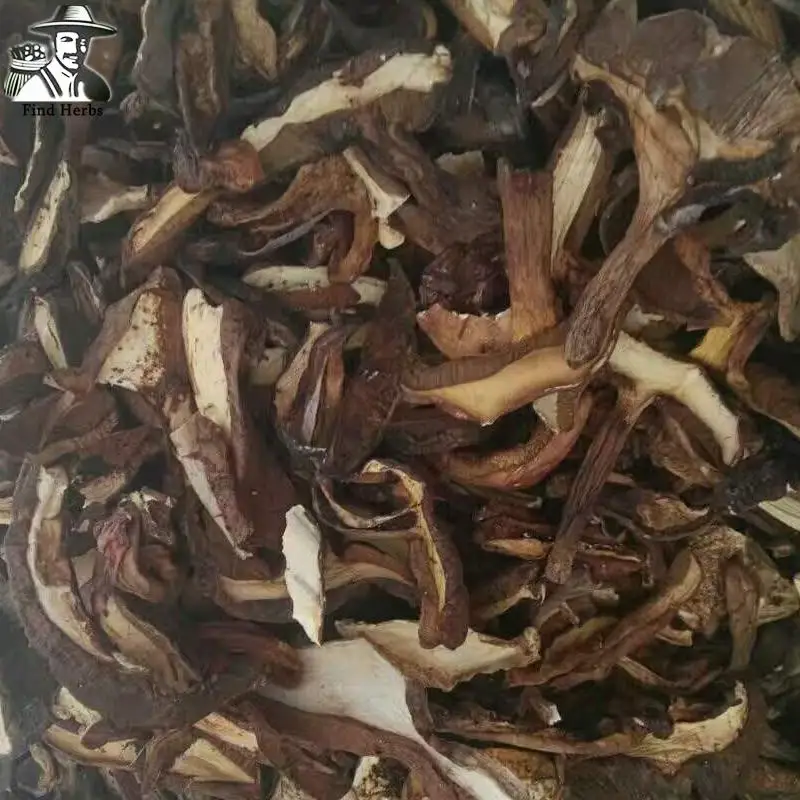 

Boletus Mushroom, King Bolete, Chinese Soups Mushroom, Niu Gan Jun For Soup