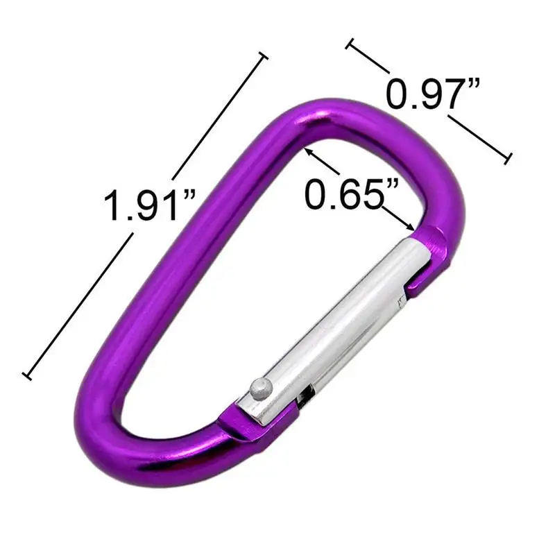 

5pcs Climbing Buckles Keychain Random Color Outdoor Camping Hiking D-ring Snap Clip Lock Hook Sports Fishing Bucklekeychain Tool