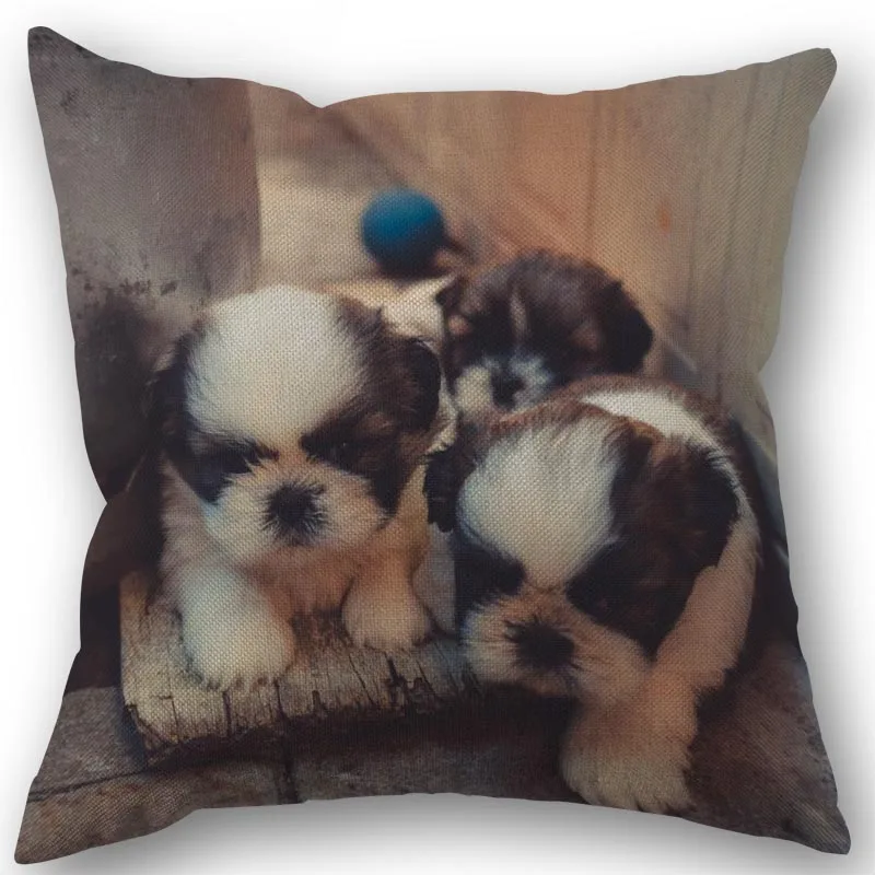 

Shih Tzu 45x45