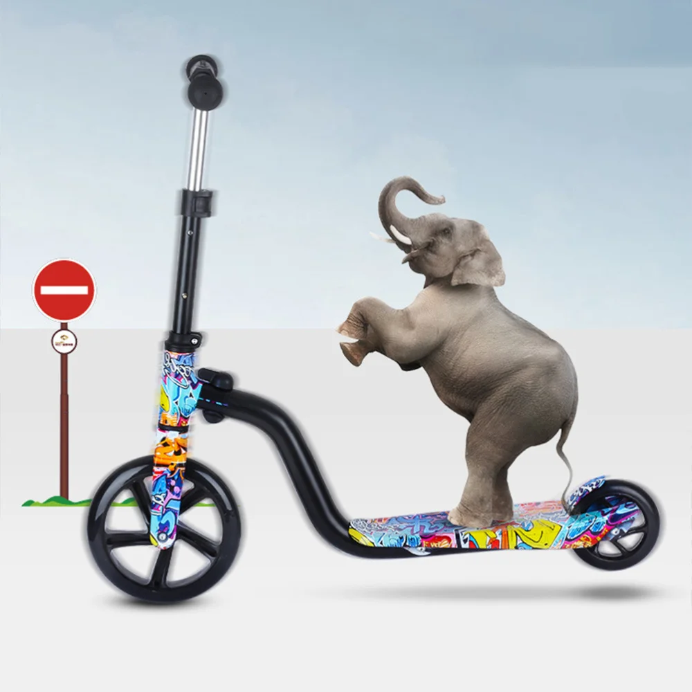 

1pc Children Two-wheeled Scooter Kid's Car Big Wheel Pulley Scooter Beautiful Printed Kick Scooter for Kids Playing (Random