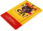 Жестяной знак C380, фейерверк с черной кошкой, пожарная стойка 4 июля, новый год