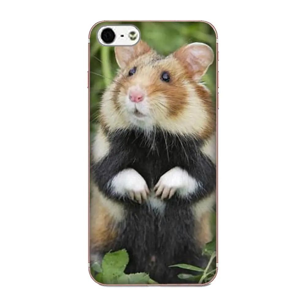 Чехол Хомяк из ТПУ для мобильного телефона Samsung Galaxy Note 5 8 9 S3 S4 S5 S6 S7 S8 S9 S10 5G mini Edge Plus