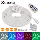 220V 110V RGB неоновые полосы Водонепроницаемый IP67 крытый и открытый светильник ing гибкий светодиодный неон светильник с лампой ИК 24Key пульт дистанционного управления