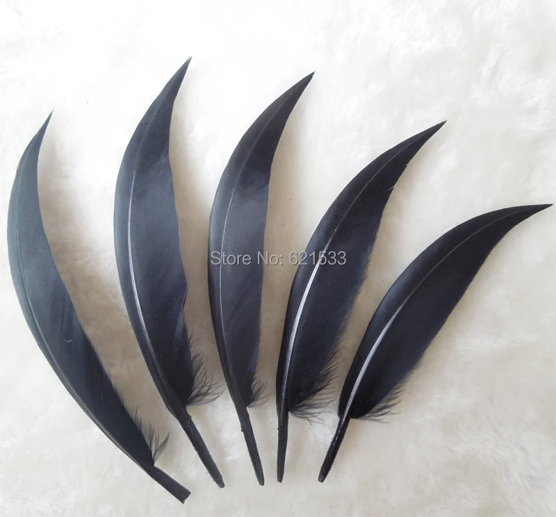 

200PCS/LOT! 10-15cm Curved Black Goose Quill Feathers Black Goose Quills,Loose Black Feathers for Crafts
