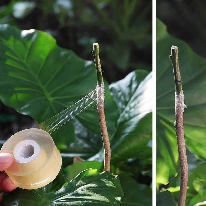 

Grafting Tape 10 PCS Stretchable Garden Grafting Tape Plant Repair Tape for Fruit Trees