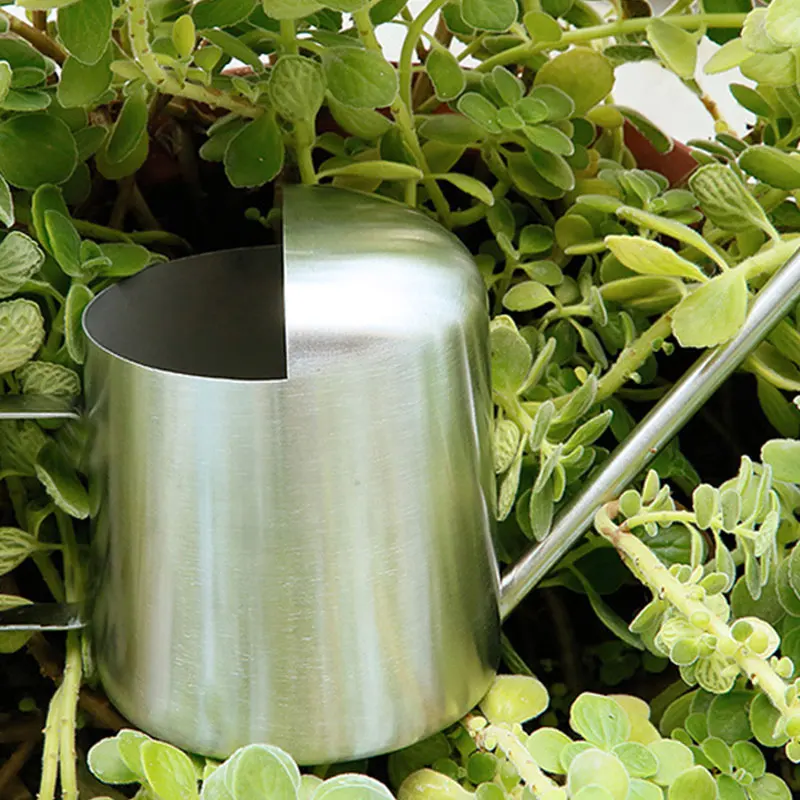 

Diversified Household Goods Garden Supply Stainless Steel Water Can Durable Long Mouth Garden Sprayer Pot 300ML Household Use