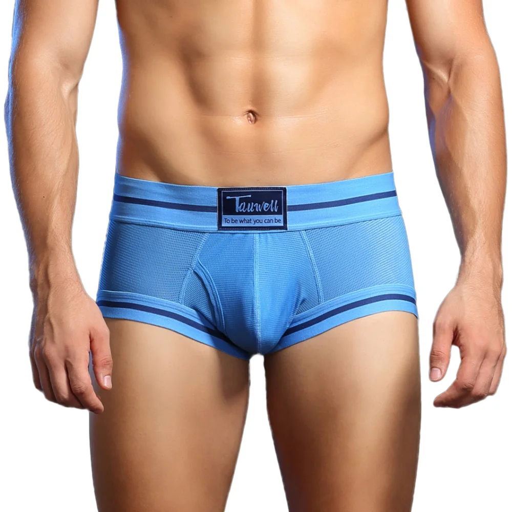 

TAUWELL Brand Men Underwear Boxer Shorts Mesh Breathable Underpants Mens Boxers Briefs Sexy Underwear for Men