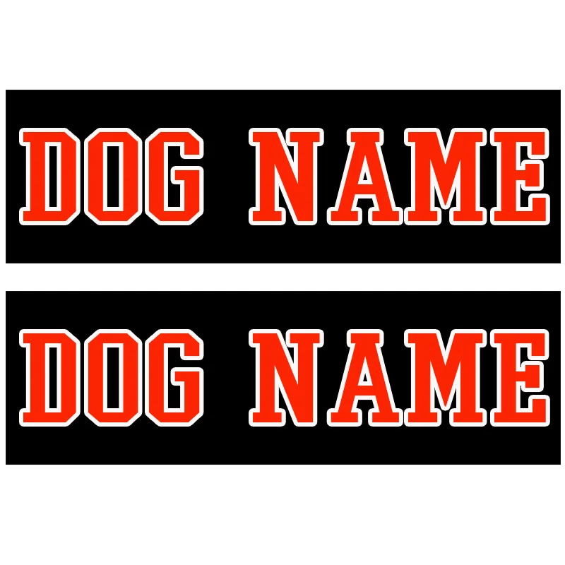 Специфический шрифт на заказ этикетки имя собаки номер телефона красочные