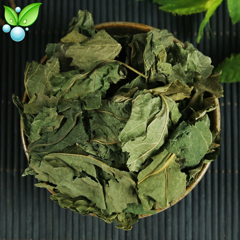 Листья тутового шелкопряда листья Gan Sang Ye прозрачные легкие и увлажняют сухость |