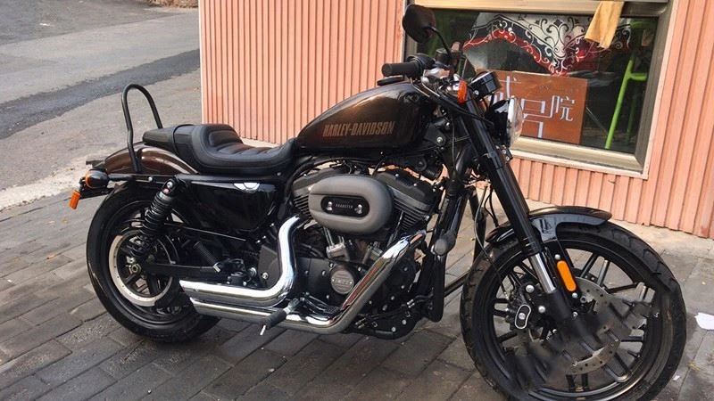 

Подлокотник задний для Harley XL883 1200 72 X48