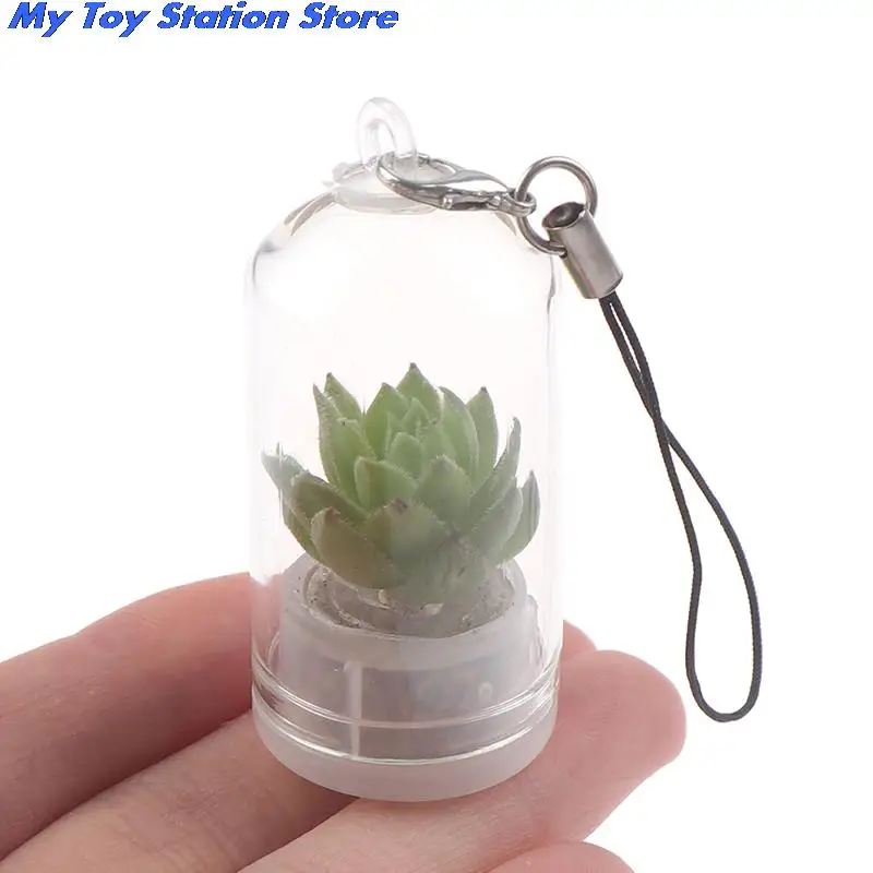 

Random Style Cactus Miniature Succulent Cactus Terrarium Wearable Necklace Live DIY Succulent Plant pendant 2.5*5cm