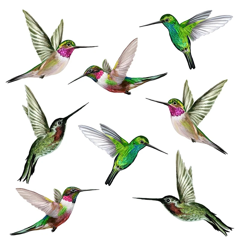 

Big deal 8 Large Beautiful Humming Bird Static Cling Window Stickers Hummingbird Anti Collision Bird Strike Window Stickers