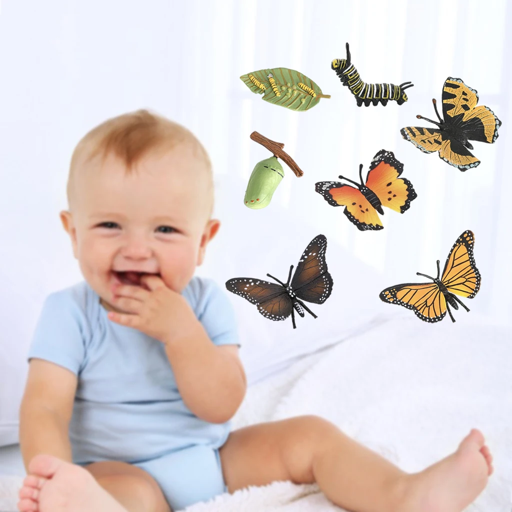 

Animals Model Life Circle Early Educational Toy Plastic Insect Figurines Lifestyle Stages Kids Educational Animal Science Toys