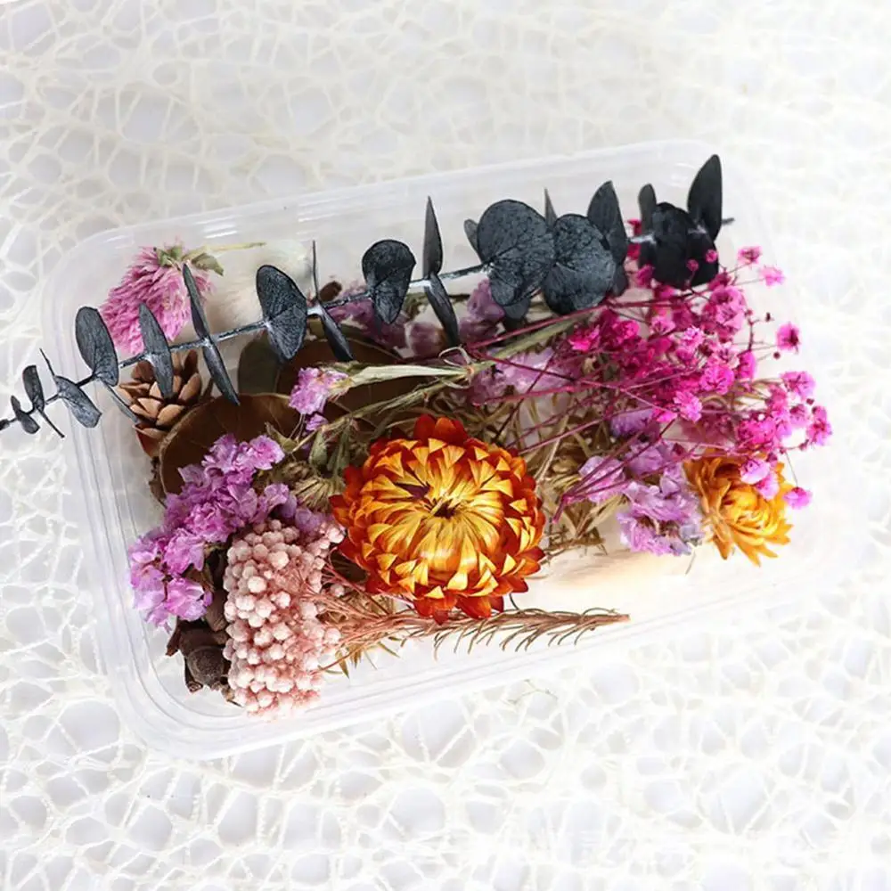 1 коробка высушенный цветок для DIY художественного ремесла эпоксидная