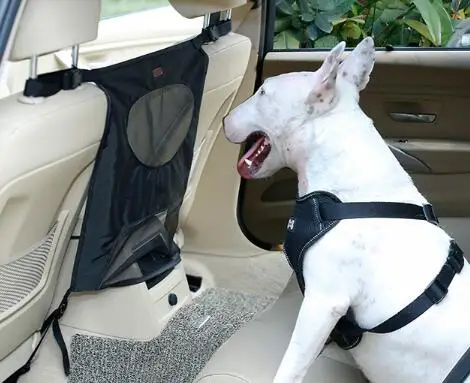 Автомобильная сетка для предотвращения столкновений домашних питомцев