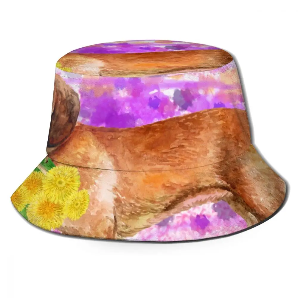 

Панама CINESSD летняя для мужчин и женщин, шляпа с акварельным рисунком таксы, собаки, Боб, рыбака, солнцезащитный козырек для путешествий, модн...