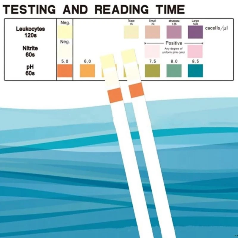 

100Pcs Urine Test Strip Leukocytes Nitrite PH Anti-VC Reagent Strips Urinalysis