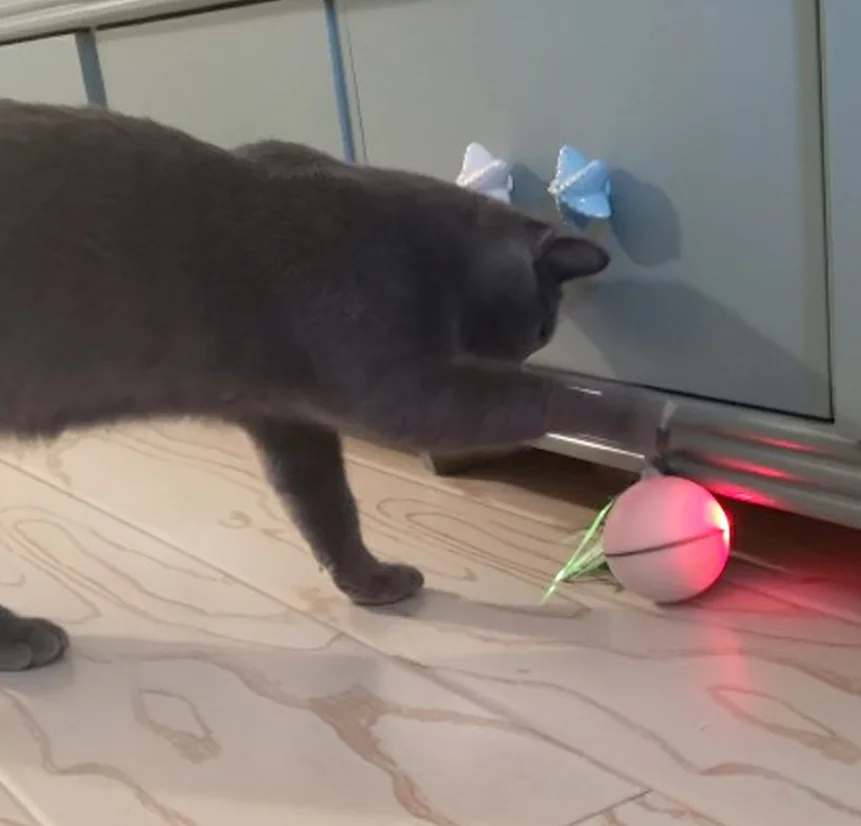 HIPET электрическая игрушка для кошек, Интерактивная USB Автоматическая вращающаяся игрушка для собак, шар для домашних животных, умный светодиодный лазерный красный светильник, забавные игрушки для кошек