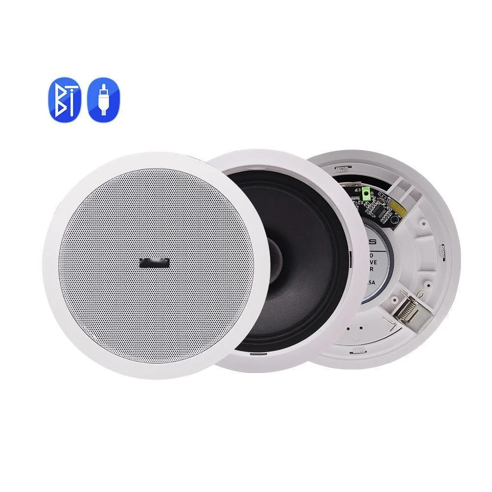 Водонепроницаемый Встроенный цифровой усилитель класса D - Цена: 5 168,75 руб.