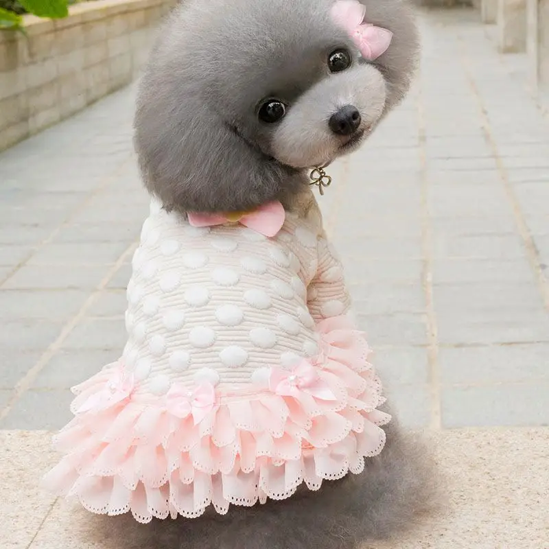 Платье для собаки Тедди Осень Зима Одежда принцесса Бишон Pettiskirt одежда домашнего