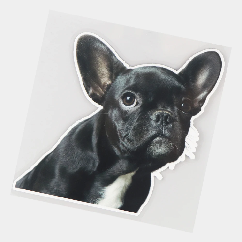 

JuYouHui Exterior Accessories Decal Cute French Bulldog Rear Windshield Decoration Stickers Funny Animal PVC Decals