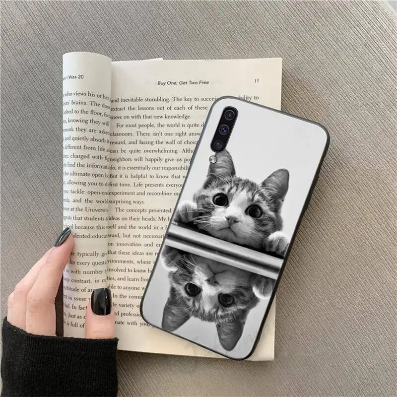 

cat cute animal Funny coque Phone Case For Samsung galaxy S 9 10 20 A 10 21 30 31 40 50 51 71 s note 20 j 4 2018 plus