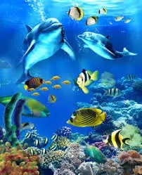 

RUOPOTY Marine animal pictures modern style diy oil painting by numbers acrylic paint by numbers kits for kids adults home wall