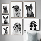 Черно-белая граница, собака, кот, фото на заказ, Художественная Картина на холсте, скандинавские постеры и принты, настенные картины для декора гостиной