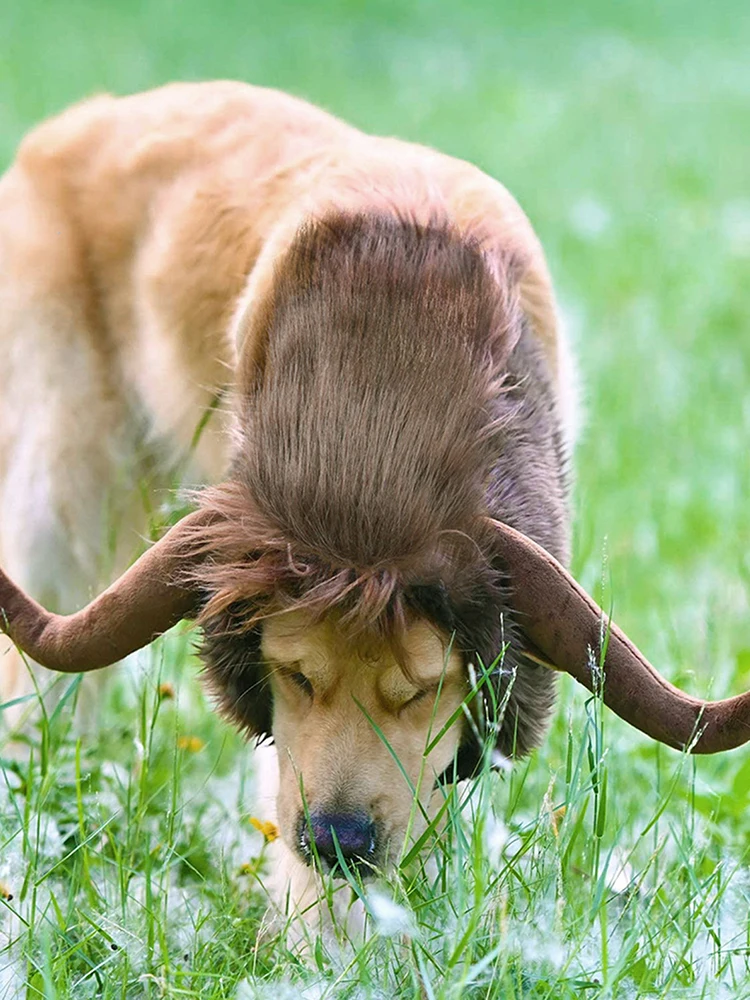 Huisdier Kostuum Interessante Comfortabele Hoofddeksels Gift Decoratie Grappige Stier Vorm Hoed Hoofddeksels Gift Hond Kat Hoofdtooi Decoratie Huisdier Kostuum Interessante Comfortabele Hoofddeksels Gift Decoratie Grappige Stier Vorm Hoed Hoofddeksels Gift Hond Kat Hoofdtooi Decoratie