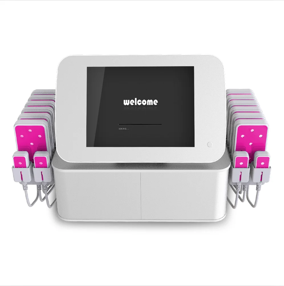 

12 Big 4 Small Pad 635nm ~650nm Diode LED Laser Weight Loss slimming machine