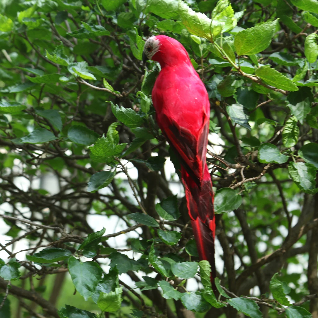 Реалистичные Macaw попугай искусственный Пернатый Птица статуя для дома на