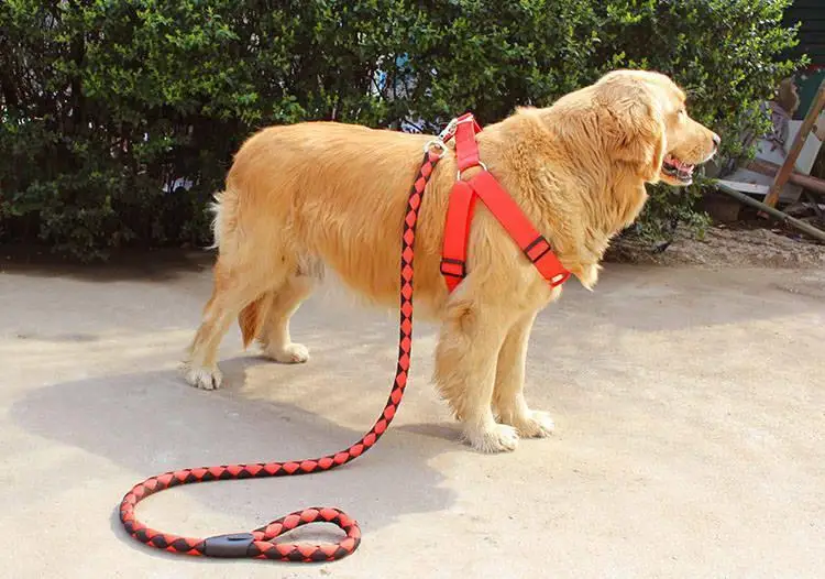 Тканый поводок для собак высокого качества товары прогулок на открытом воздухе