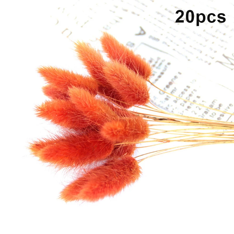 20 шт. Натуральные сушеные цветы для украшения дома | Дом и сад