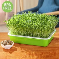2pcs pink garden seed sprouter tray bpa free pp soil free big capacity healthy wheatgrass grower sprouting kit garden supplies