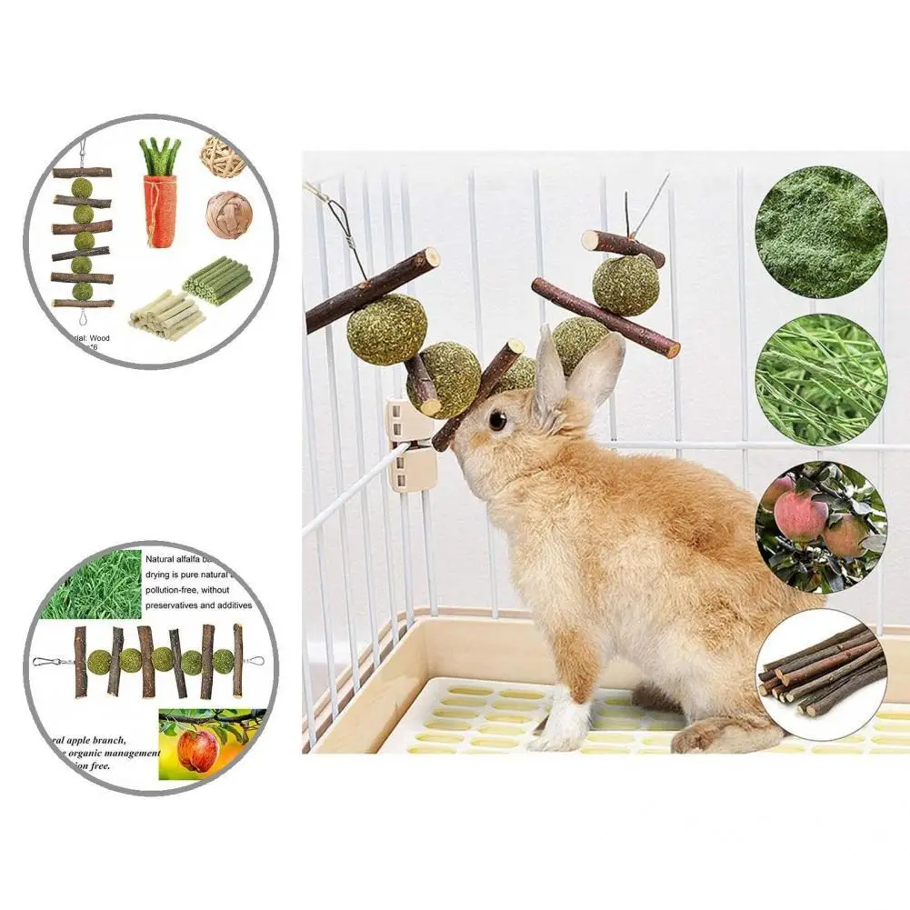 

6 шт./компл., набор для переваривания кишечника