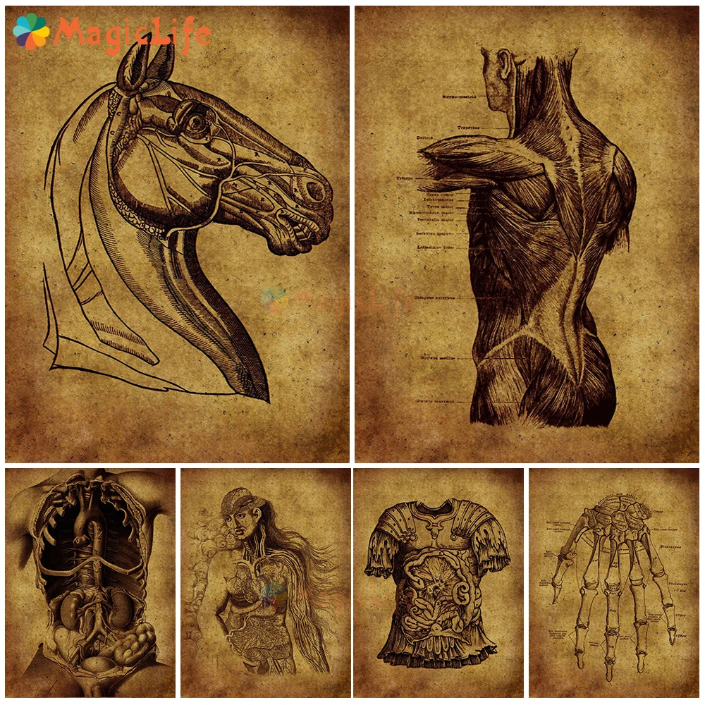 

Vintage Ancient Warrior War Horse Human Anatomy Wall Pictures For Living Room Nordic Poster Wall Art Canvas Painting Unframed