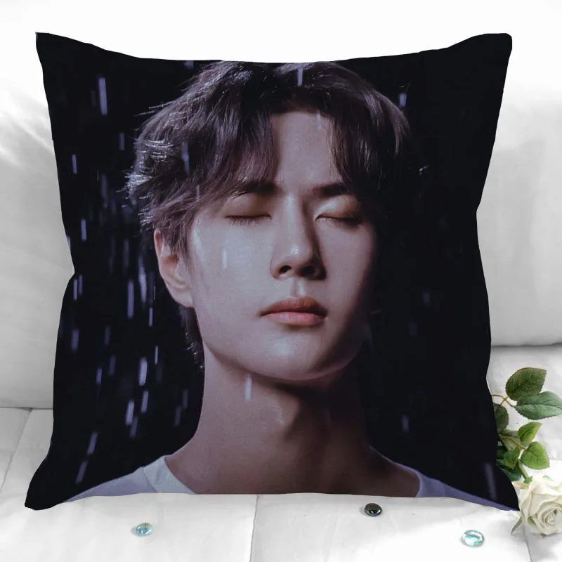 

New Custom YiBo Pillowcases Printed Square Pillowcase Home Decorative Zipper Pillow Cover 35X35cm40X40cm(One Side)