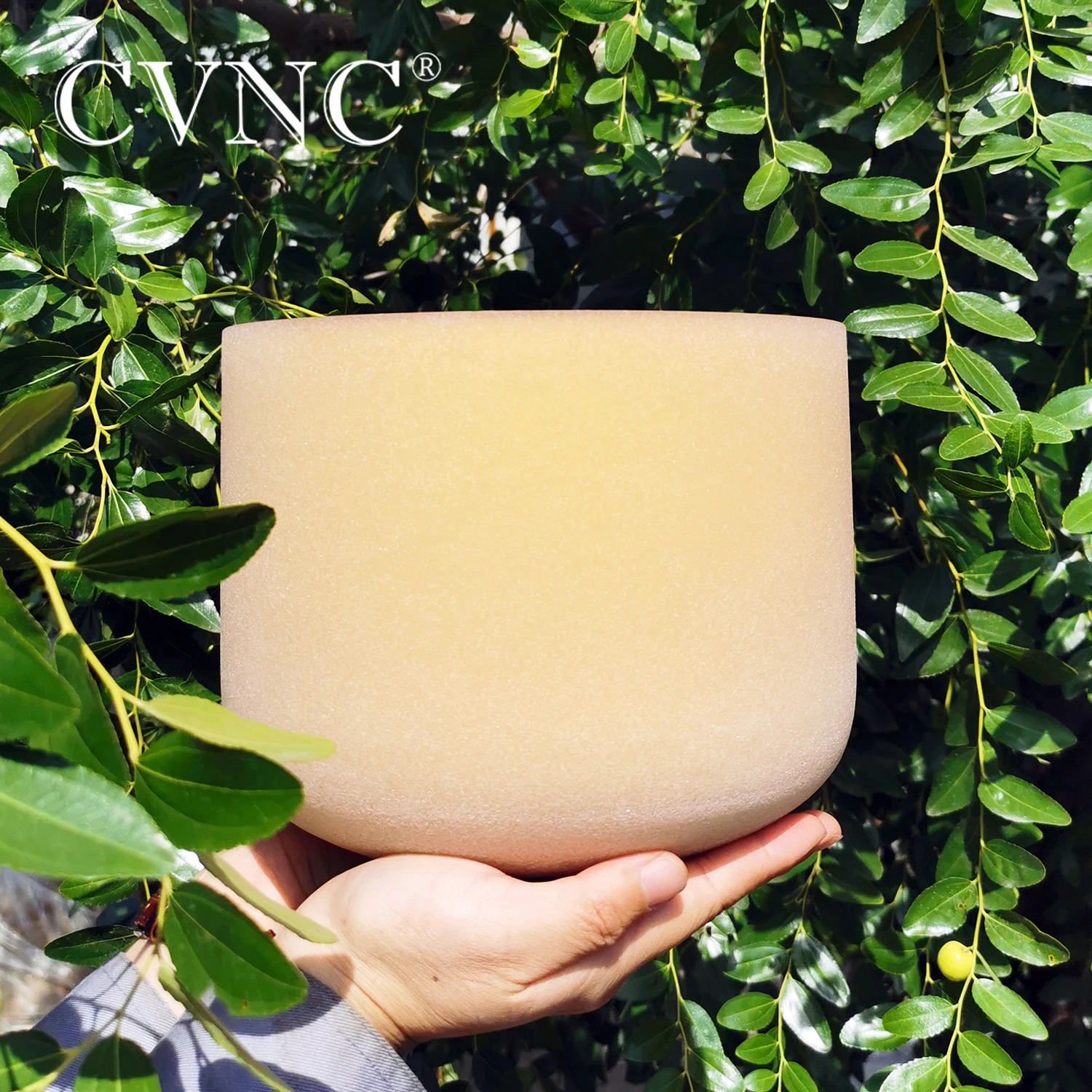 CVNC 7-дюймовая Поющая чаша с золотым матовым кварцевым кристаллом бесплатным