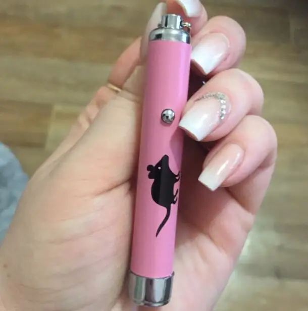 random Потрясающая игрушка для кошек, креативные и забавные игрушки для кошек, светодиодная указка, световая ручка с яркой анимацией, мышь - Цвет: random