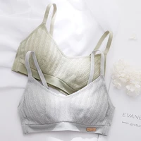 roseheart for women green gray sexy lingerie straps lace maiden cotton panties wireless bra sets underwear japanese