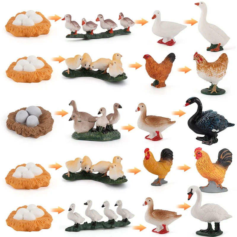 

PVC Simulation Insect Plant Growth Seed Plant Growth Cycle Model Figures Mini Figures Toys Science Education Toys For Children