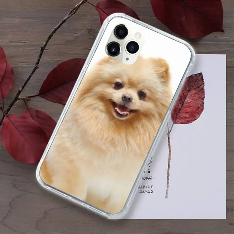 

Cute Funny French Bulldog Phone Case for iPhone 11 12 pro XS MAX 8 7 6 6S Plus X 5S SE 2020 XR