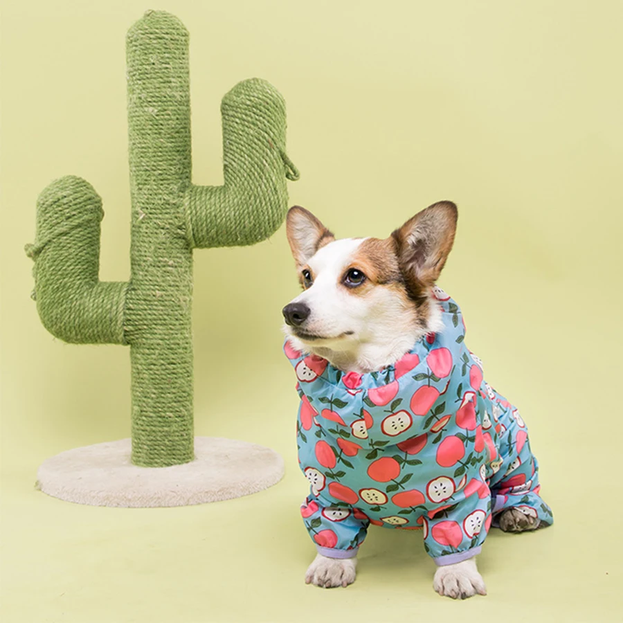 Одежда для собак вельш-корги | AliExpress
